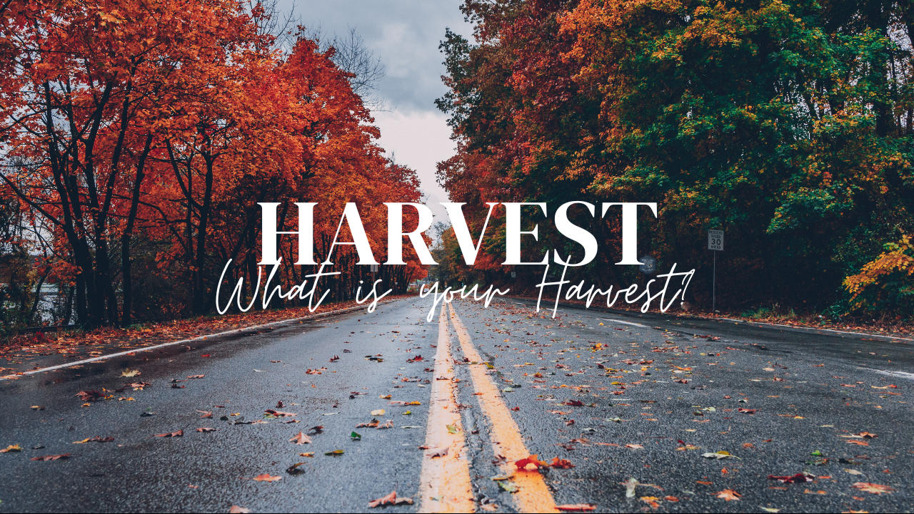 Harvest