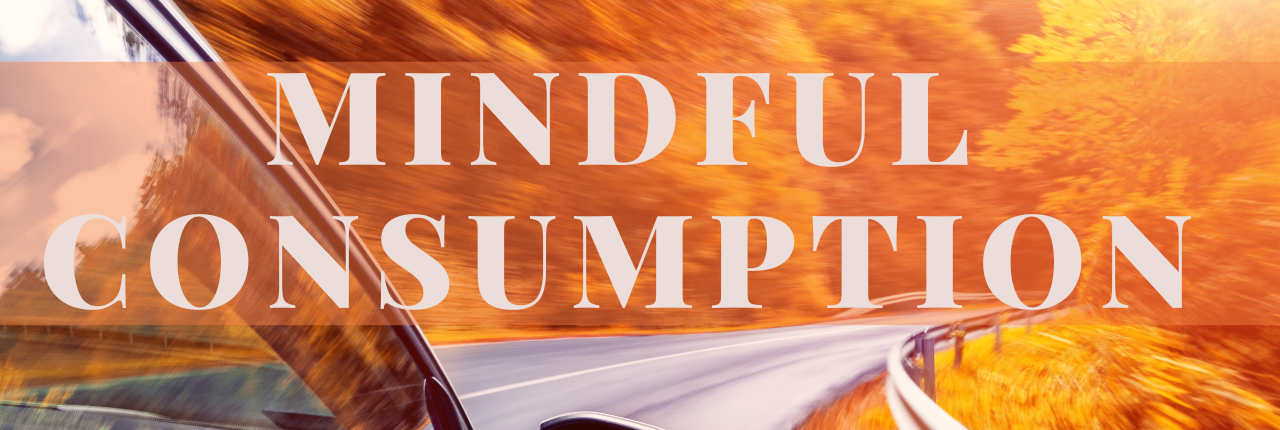 Mindful Consumption