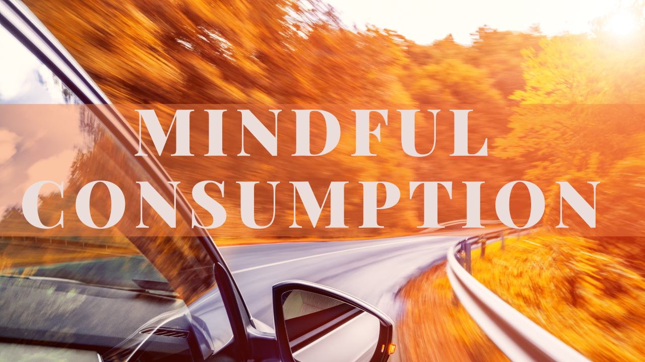 Mindful Consumption