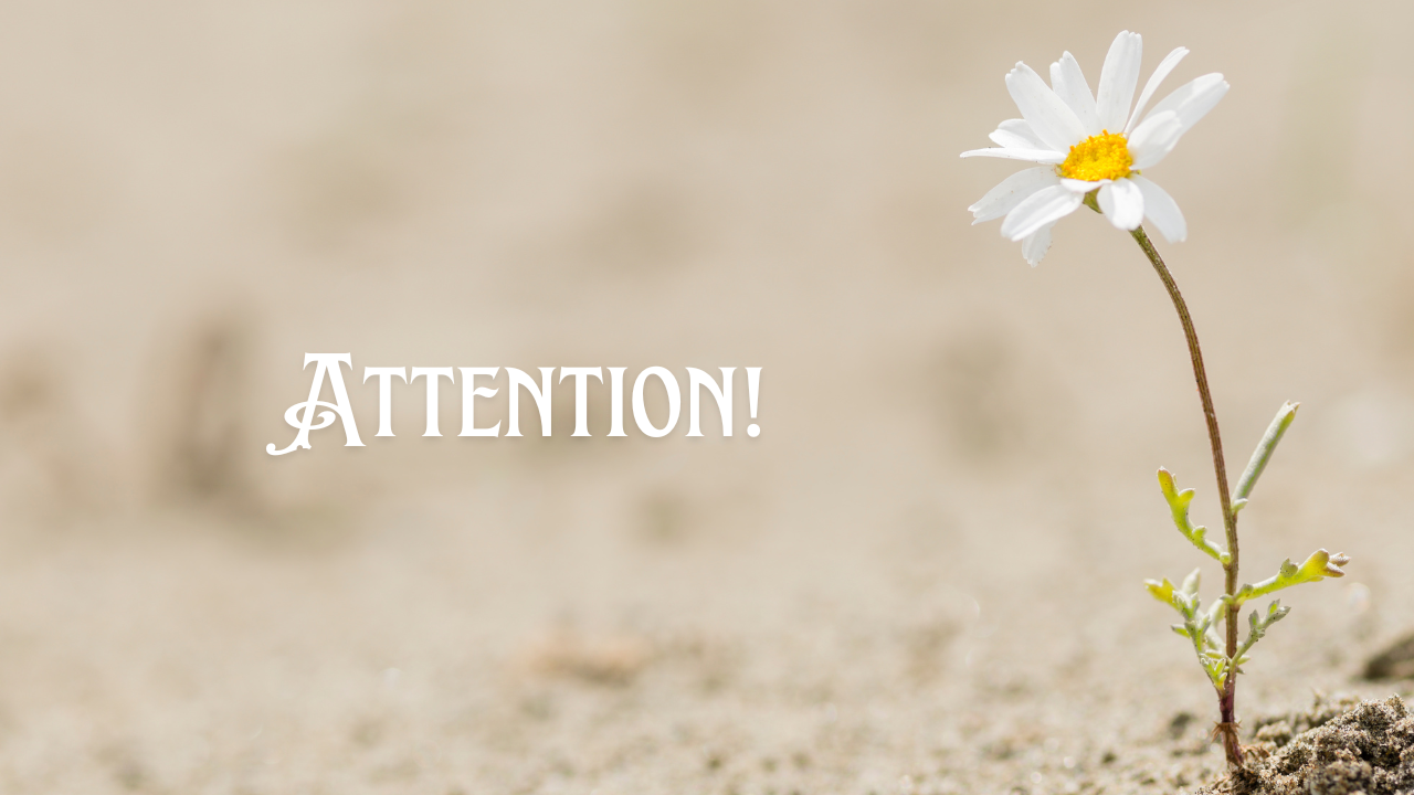 ATTENTION @ THE JUNCTION MAY 5 @ 10 AM MST