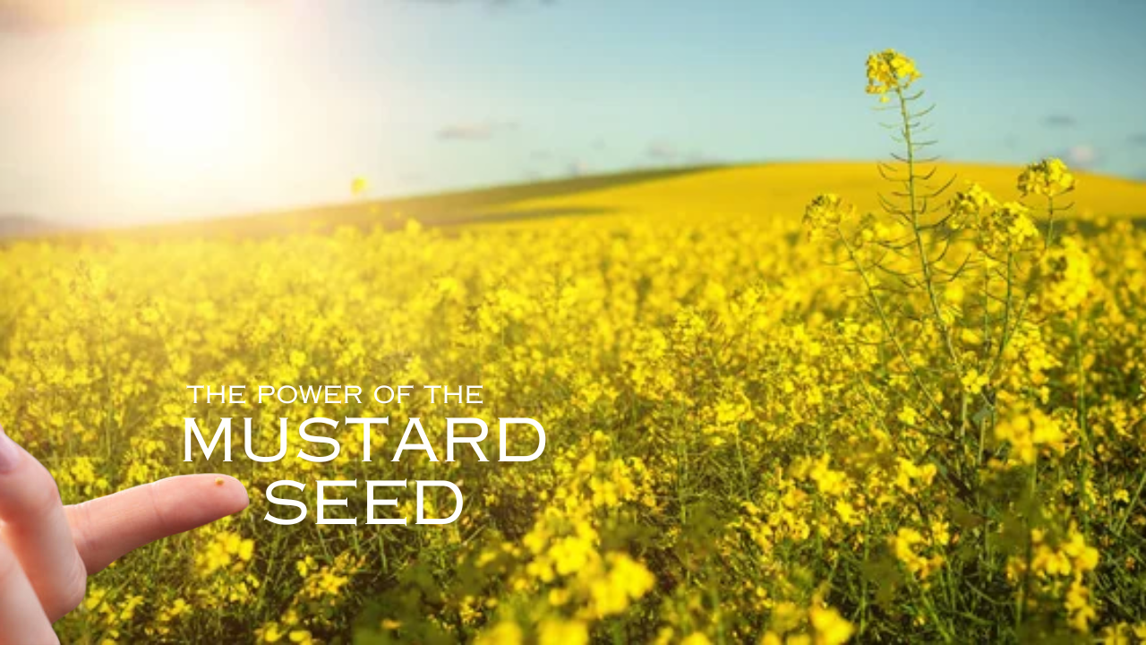 The Mustard Seed @ The Junction Apr 06 @ 10 AM