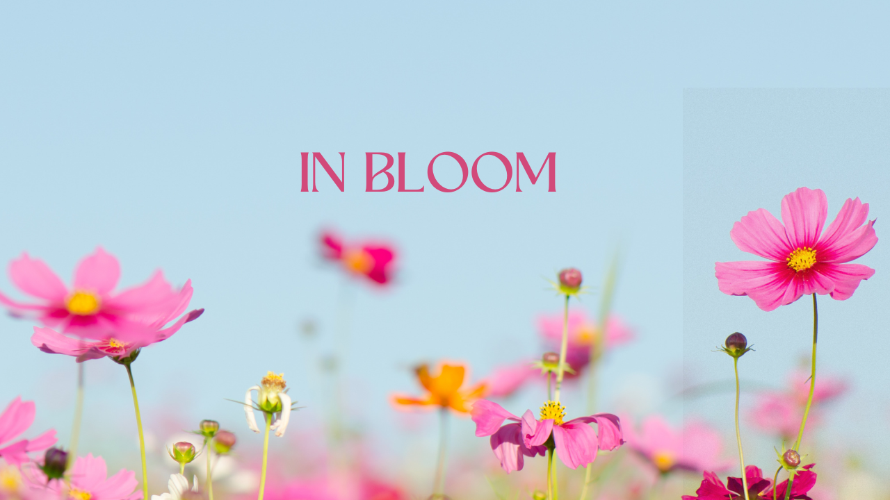 In Bloom @ The Junction June 22 @ 10 AM