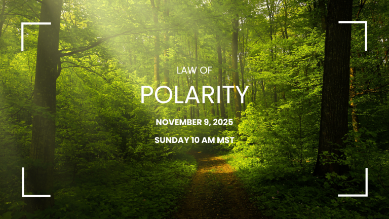 Law of Polarity @ The Junction Nov 9 @ 10 AM