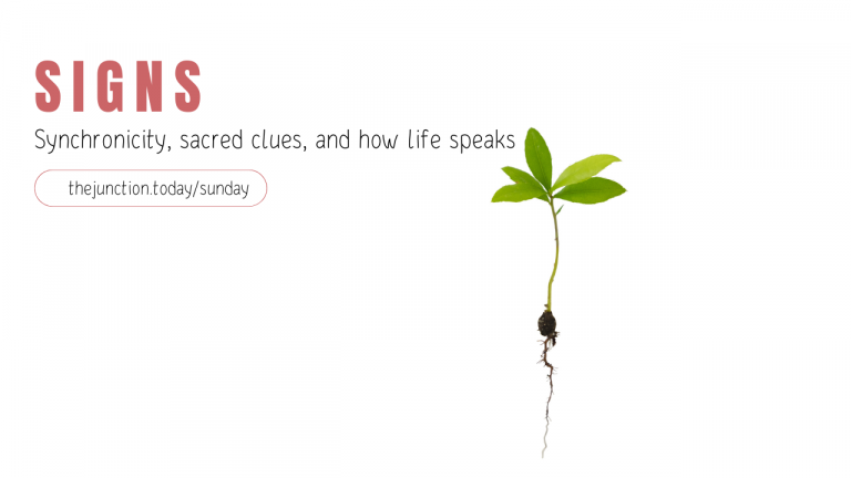 Signs @ The Junction