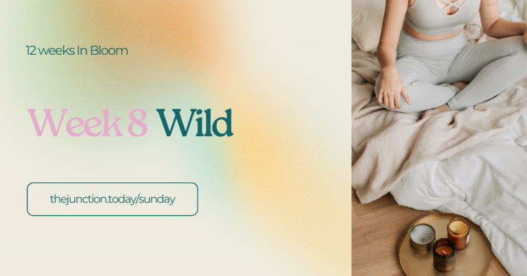 The Junction – Wild