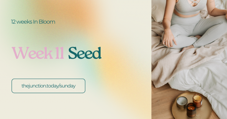 The Junction – Seed
