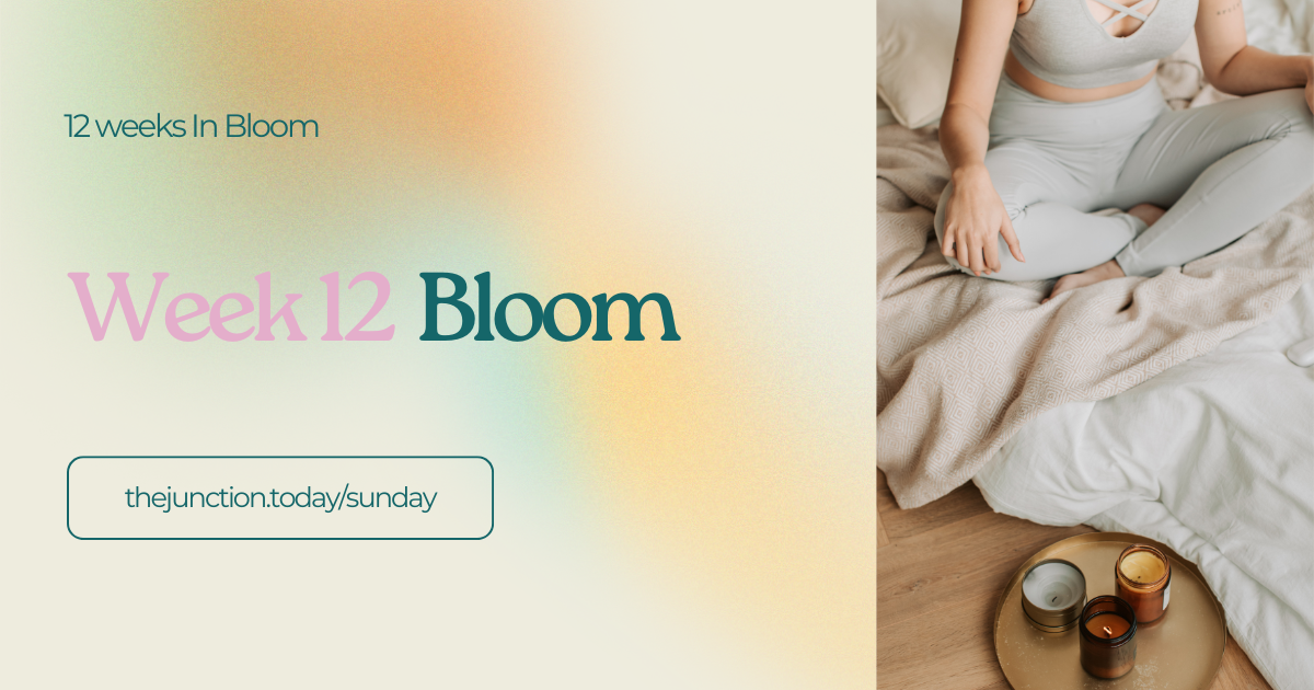 The Junction – Bloom